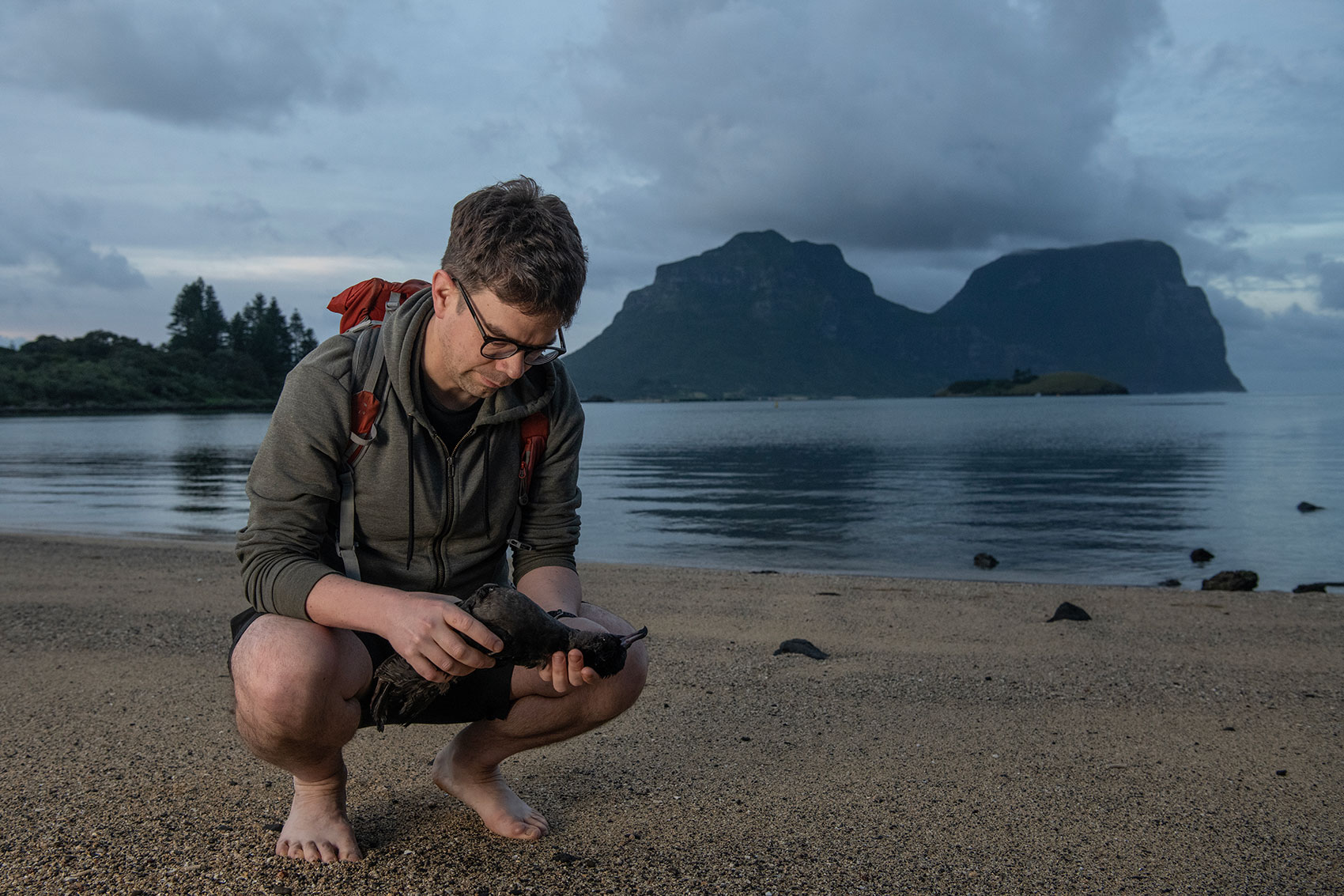 Alex Bond picks up a dead shearwater