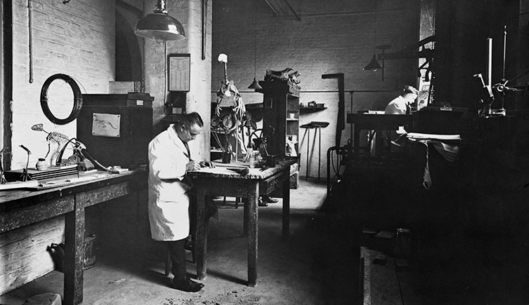 Fossil preparator Louis Parsons works on a skeleton of Hypsilophodon