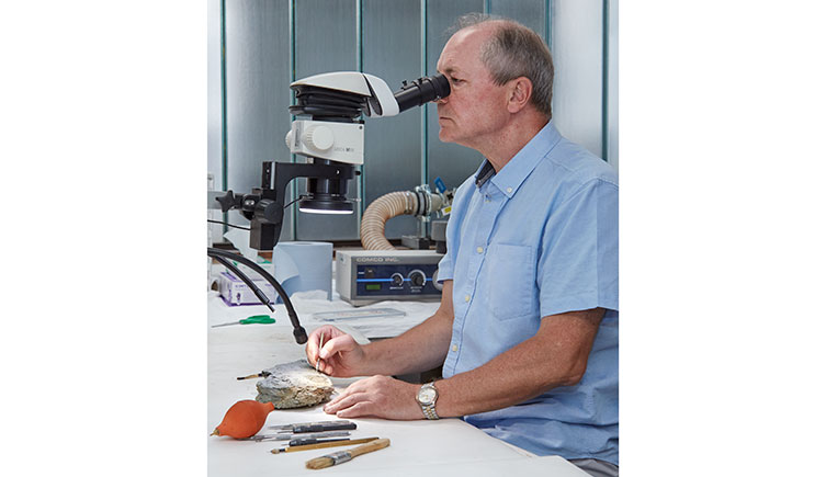 A fossil preparator uses a microscope while working on a specimen