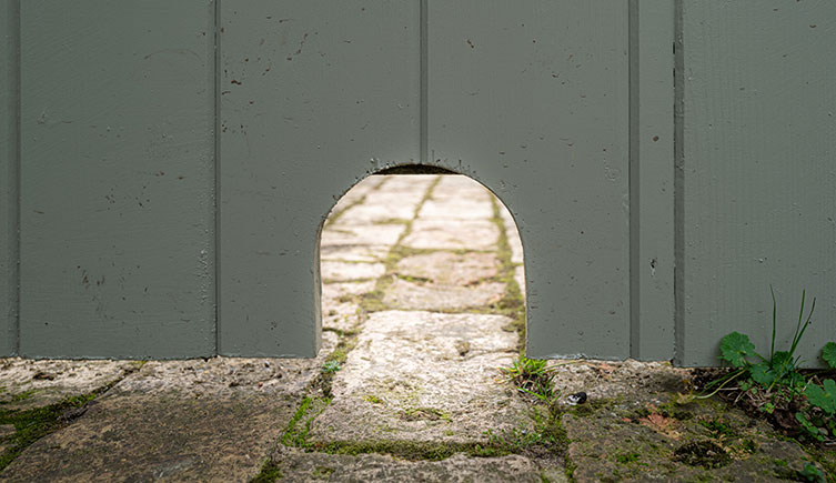 A small arch cut into a wooden gate