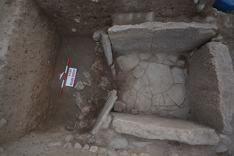 A large cist tomb with the remains of eight skeletons in and around it.