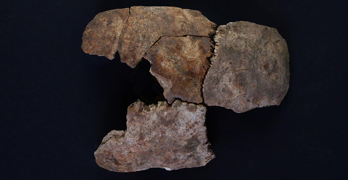 Cracked pieces of skull found at the burial site.