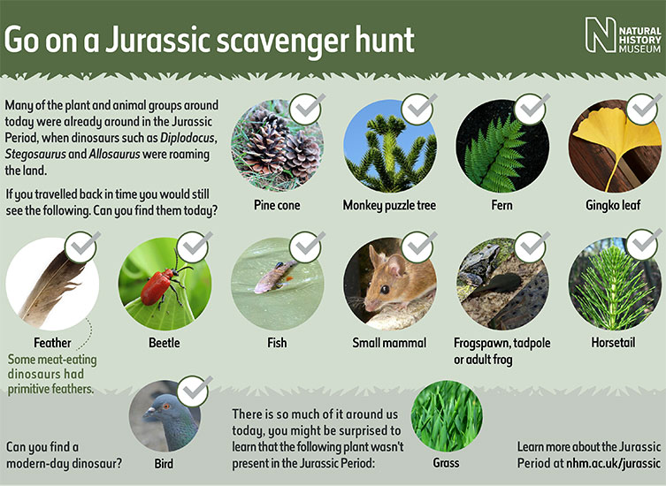 Screenshot of the Museum's Jurassic scavenger hunt checklist PDF