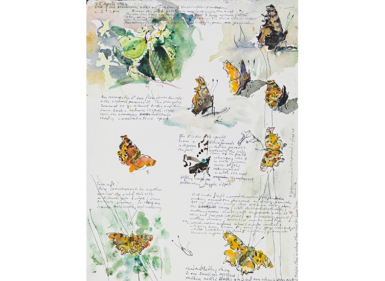 Illustrations of a yellow flower and nine butterflies scattered across a page with their wings in various positions, interspersed with handwritten text too small to read