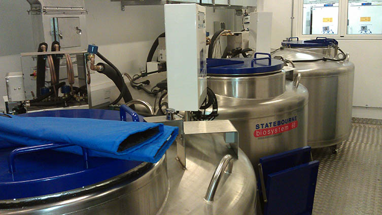 Three freezers that can contain liquid nitrogen vapour, preserving specimens and tissue at -180°C.