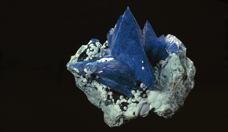 The bright blue shards of the mineral stick up like blades from a creamy-green rock, on a black background.