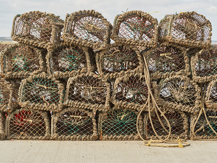A pile of creel pots in a harbour.