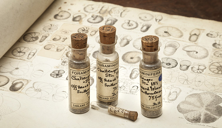 Samples of foraminifera collected by Challenger in glass bottles on notes taken of the organisms at the time