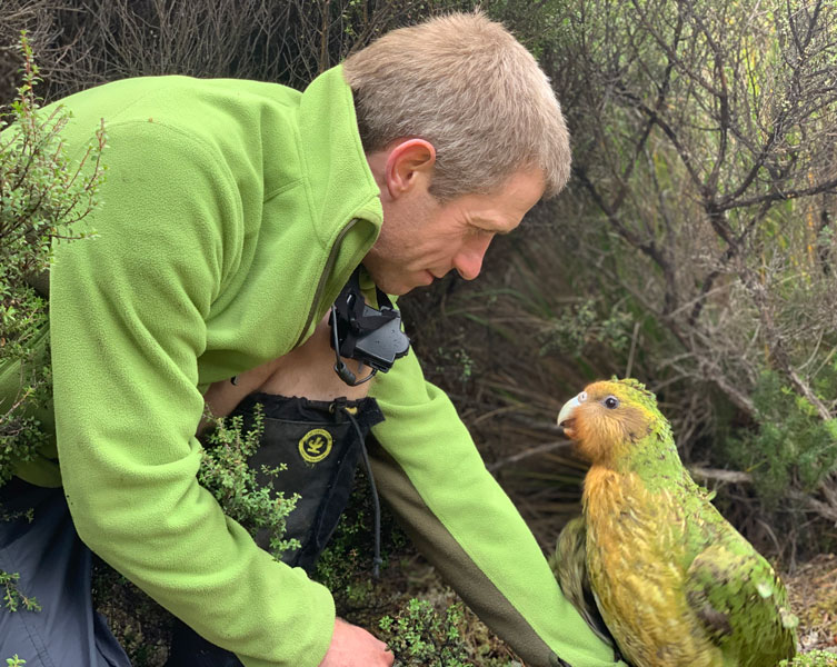A scientist in a green jacket interacts with a kakapo