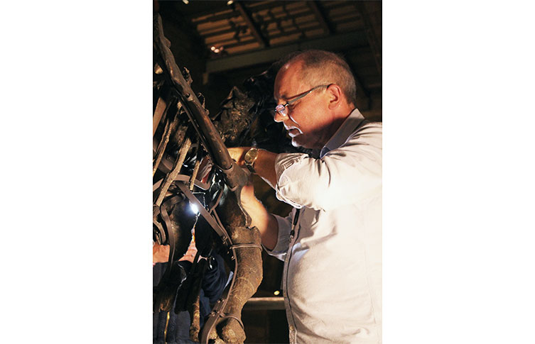 Mark Graham works on removing a dinosaur bone from its mount.