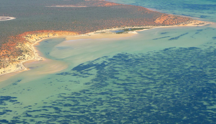 An aerial photo of the shallow, salty waters of Shark Bay
