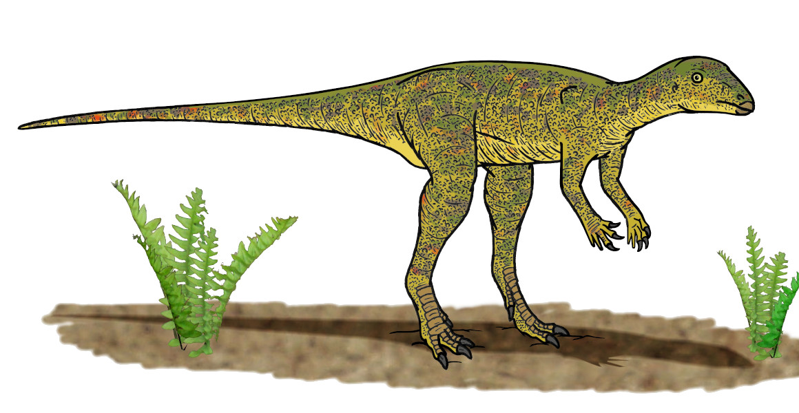 An artist's impression of Lesothosaurus