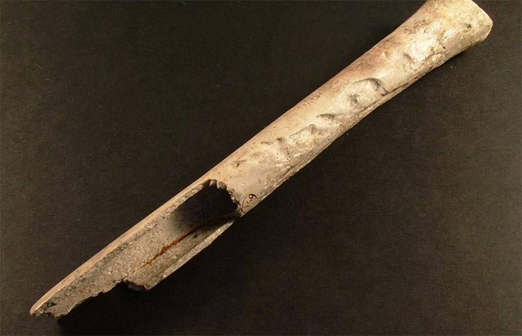 A human thigh bone that has been turned into a whistle, broken at one end, with marks along its sharft. 
