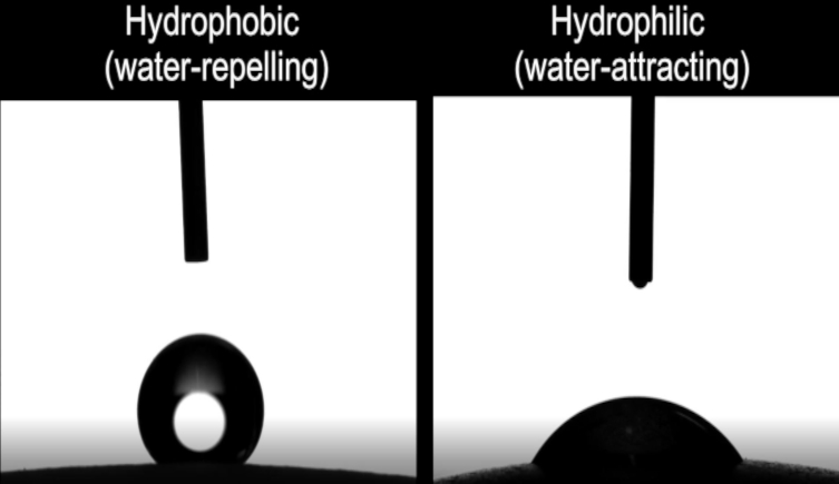 A diagram showing the difference between hydrophilic and hydrophobic eggs