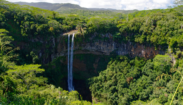 A waterfall on a sheer cliff surrounded by trees