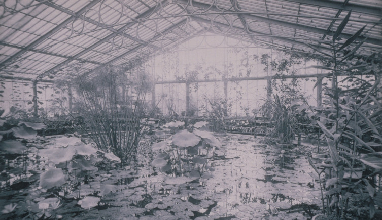 A black and white photograph of the waterlily house at Kew Gardens in 1900