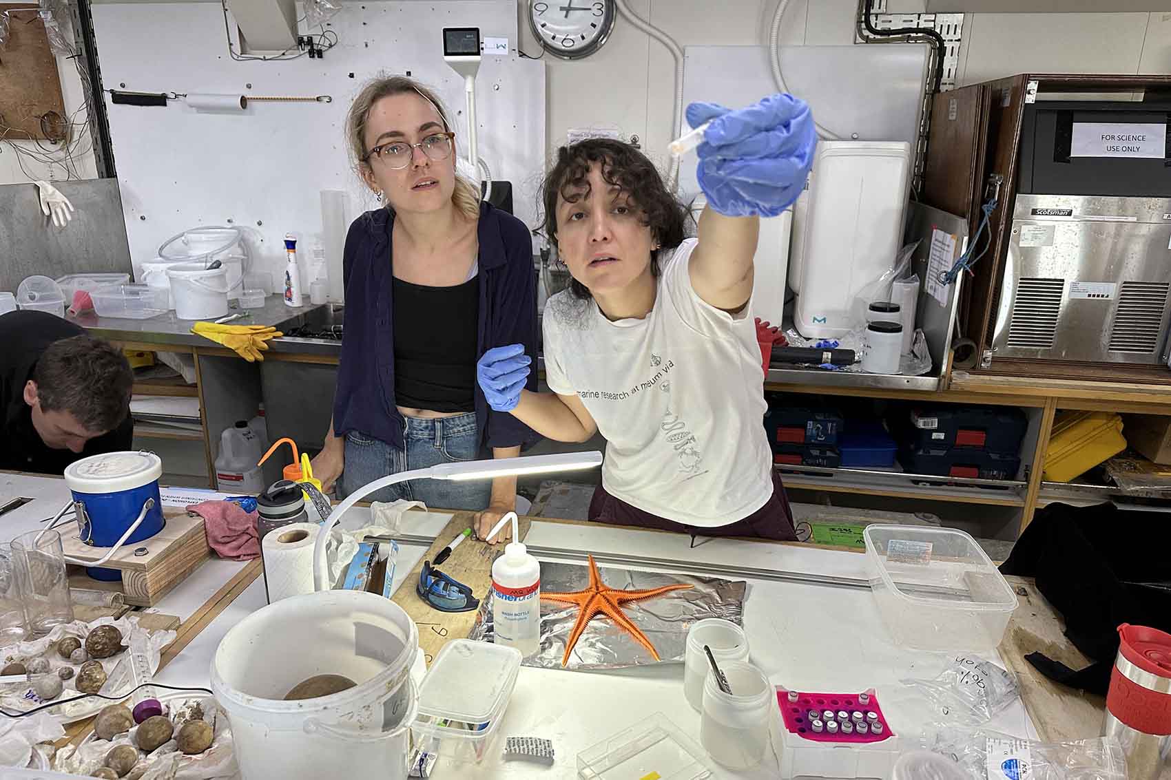 A picture from within a lab on a reasearch boat, in which two people are stood side-by-side. The person on the left is holding up a vial, and both people are straining to look at what is within in. Infront of them, the table is covered with pot and  trays, on of which is a large orange starfish. 