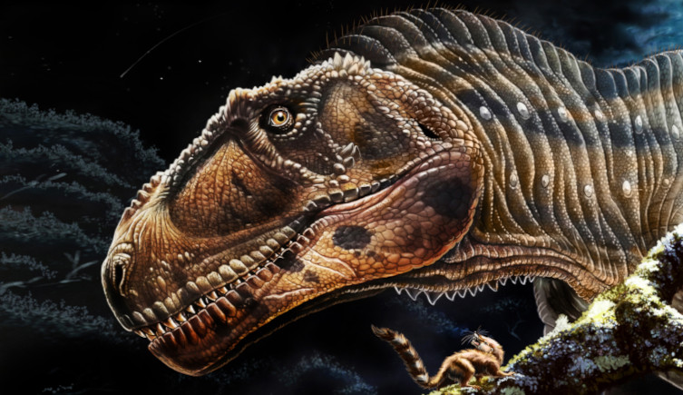 A palaeoart illustration of the head of Meraxes gigas