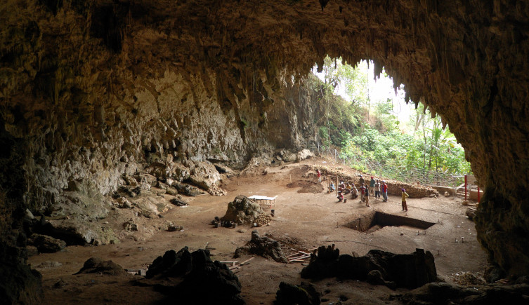 A photo of Liang Bua cave looking inside outwards towards the entrance