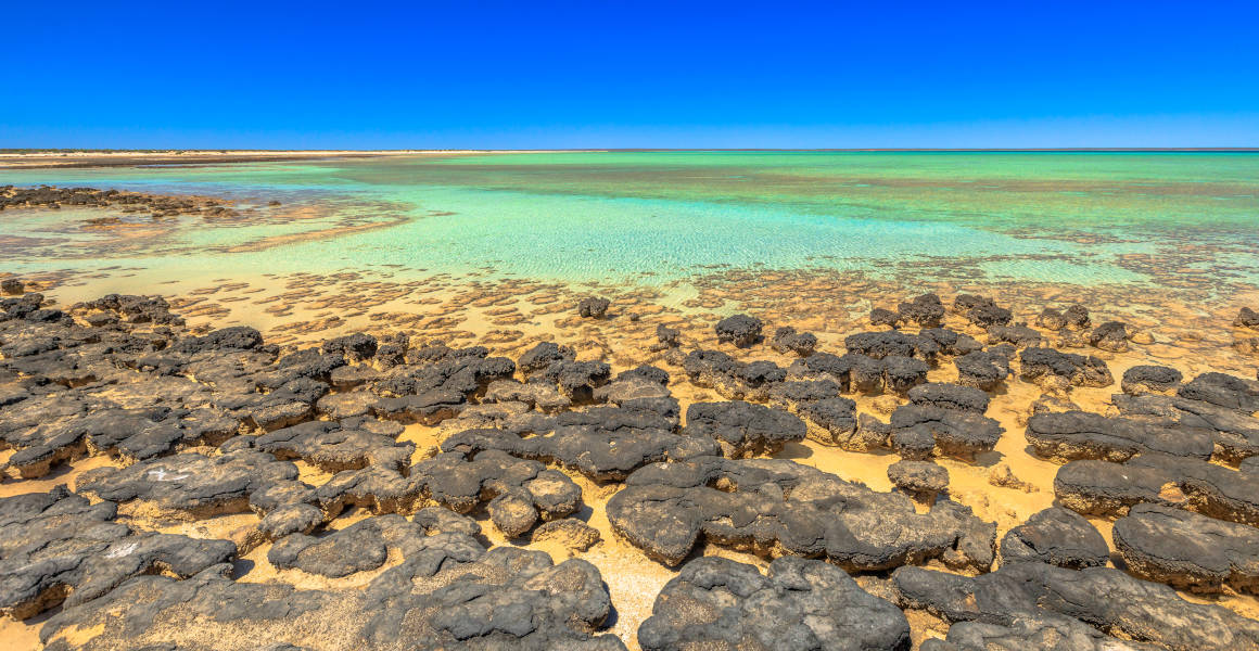 Stromatolites ahead of a clear lagoon under a blue sky