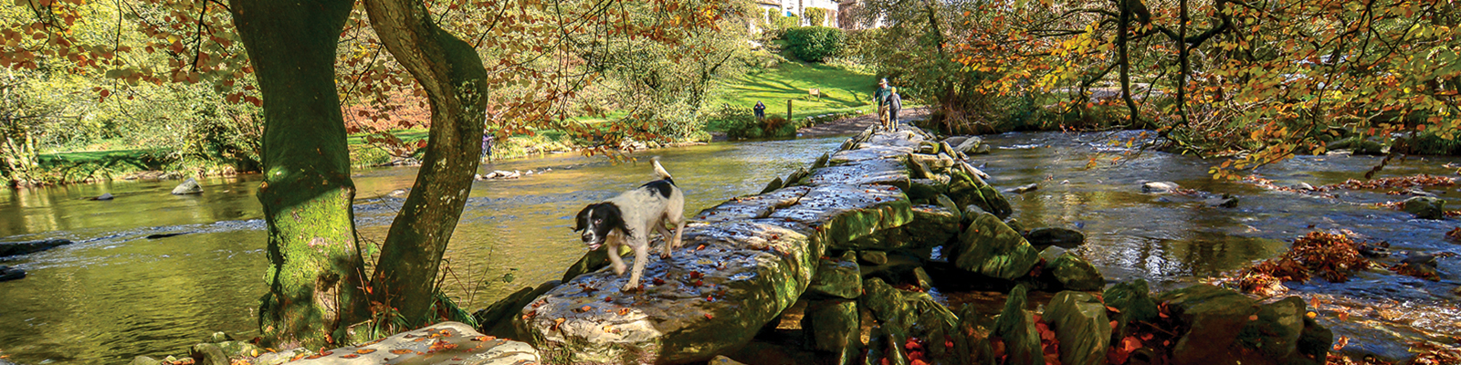 Tarr Steps autumn