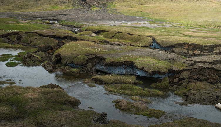 Water flows from melting permafrost under the soil, forming a stream.