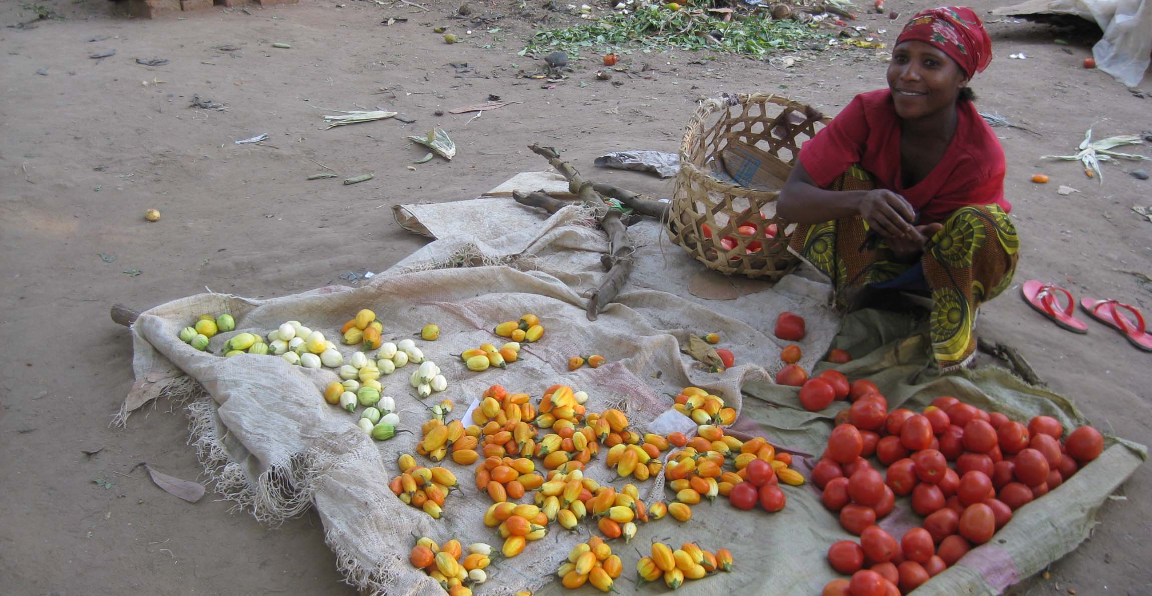 A woman selling scarlet eggplant and tomatoes on a sheet at a market in Tanzania.