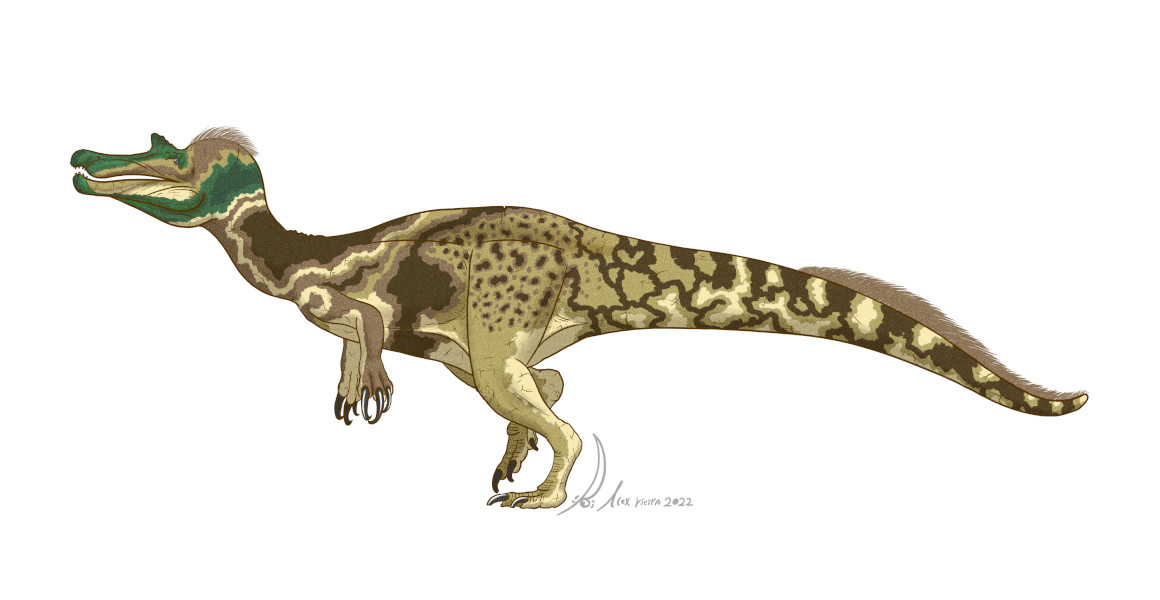 An artist's impression of the spinosaur Vallibonavenatrix cani.