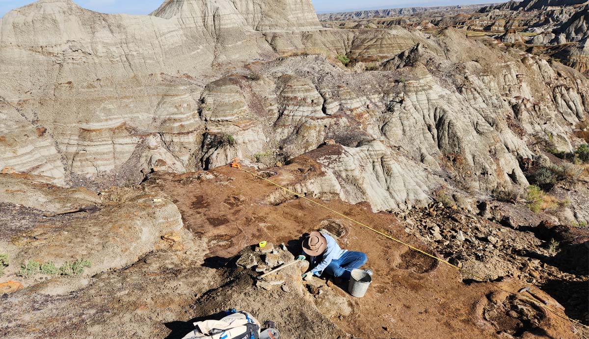 A researcher uncovers the footprints at the tracksite. In the background are the hills of Alberta's Badlands