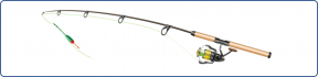 Illustration of a fishing rod (decorative image)