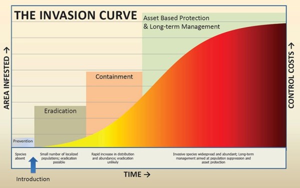 A graph showing the increase in area infested by invasive species increasing over time, and control costs increasing with this,