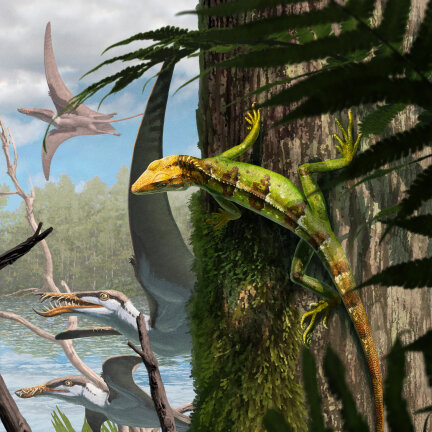 A reconstruction of a small, green lizard-like animal clinging to a tree trunk.  