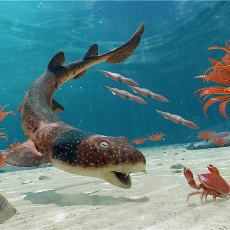 A reconstruction of the ancient shark looking like a modern-day carpet shark as it interacts with a crab.