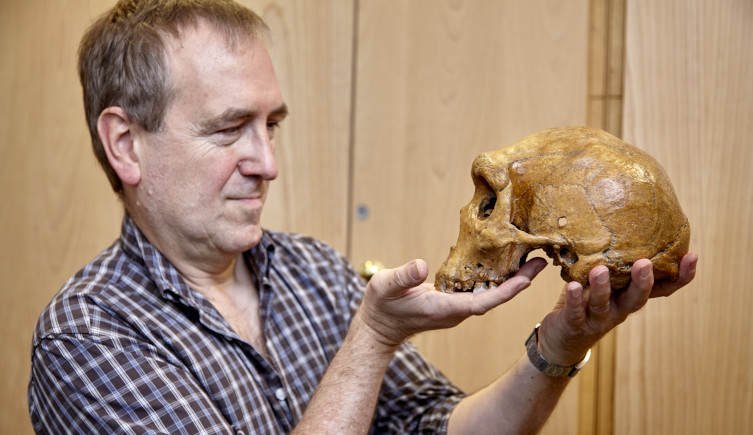 Professor Chris Stringer looks into the eye sockets of a skull side on to the viewer.