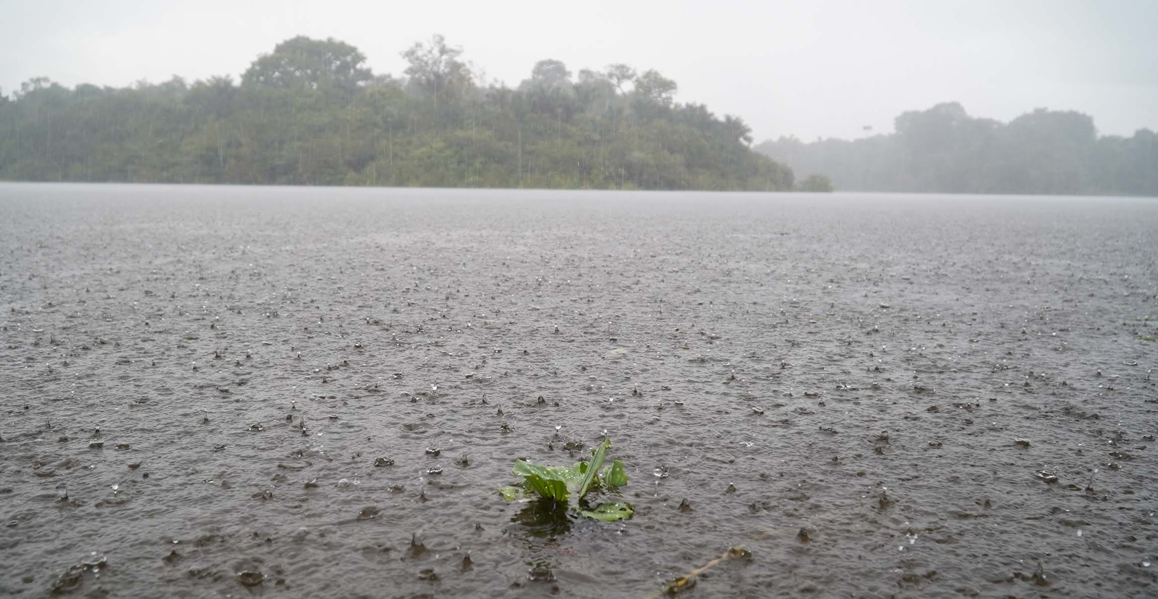 Rain falls on the surface of a river in the Amazon.