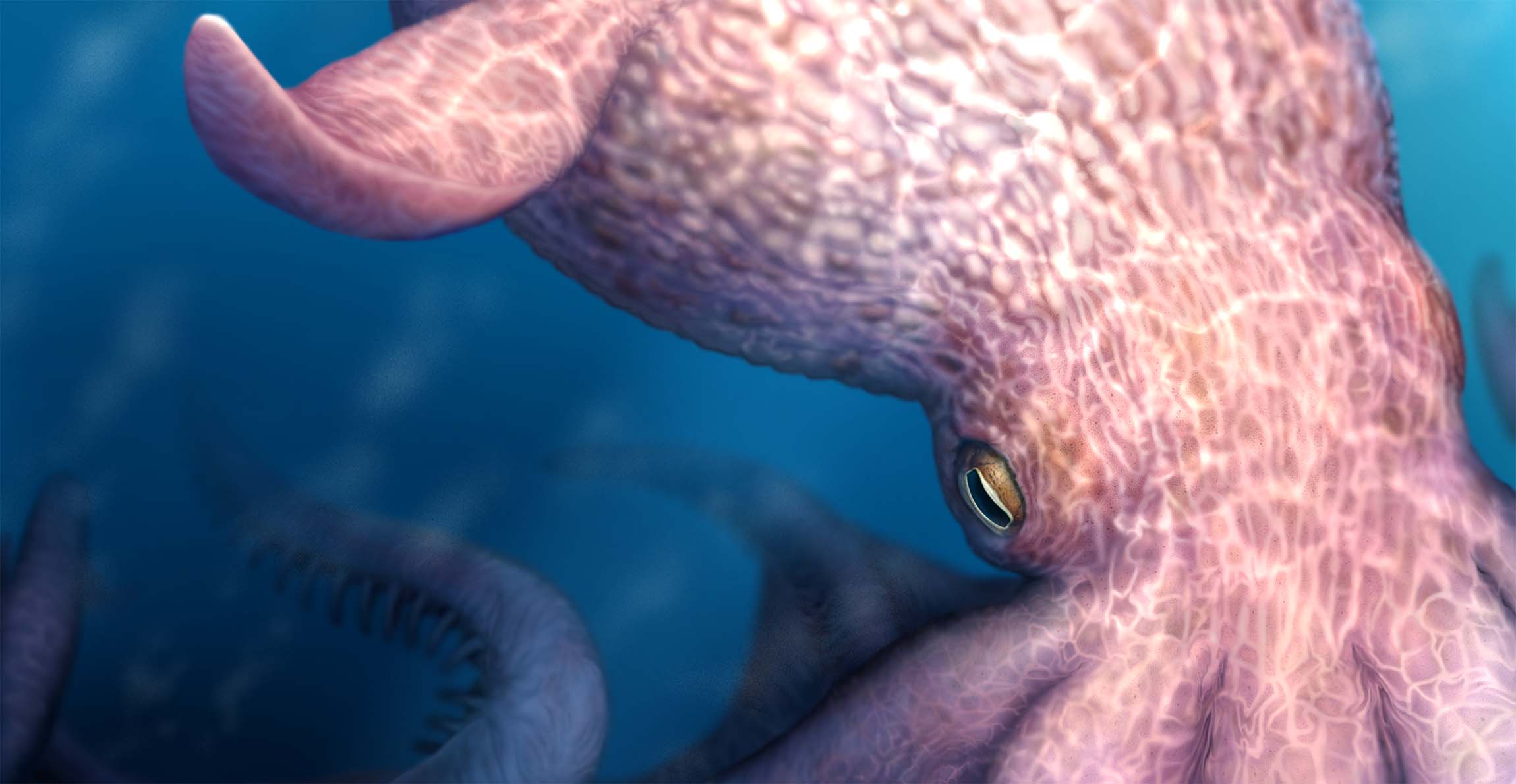 A reconstruction of Nanaimoteuthis haggarti, showing the giant octopus emerging from the darkness of the ocean into the light.