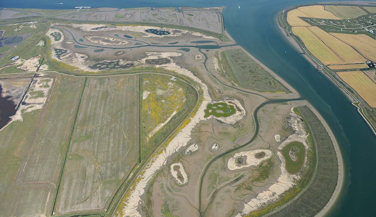 An aerial photo of Jubilee Marsh following restoration work.