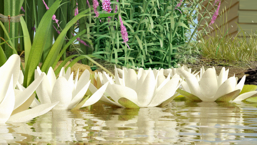 Illustration of white water lilies on a pond
