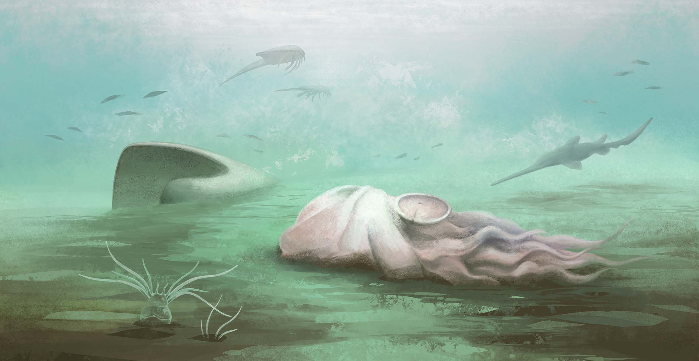 A reconstruction of a Paleocadmus and its separated shell decaying underwater prior to burial. Fish, worms and sharks are visible in the distance.