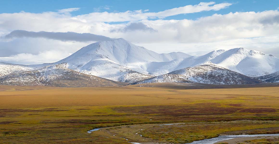 A photo of the Siberian tundra, with snowcapped mountains in the distance.