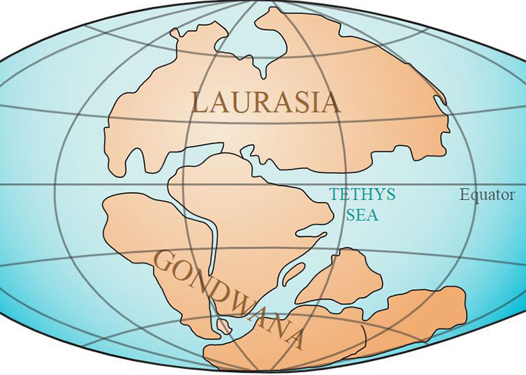 Map of Pangea during the Triassic Period