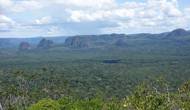 The hazy view across Chiribiquete National Park – from trees in the foreground, across lots of vegetation, to where table-top mountains loom in the distance.