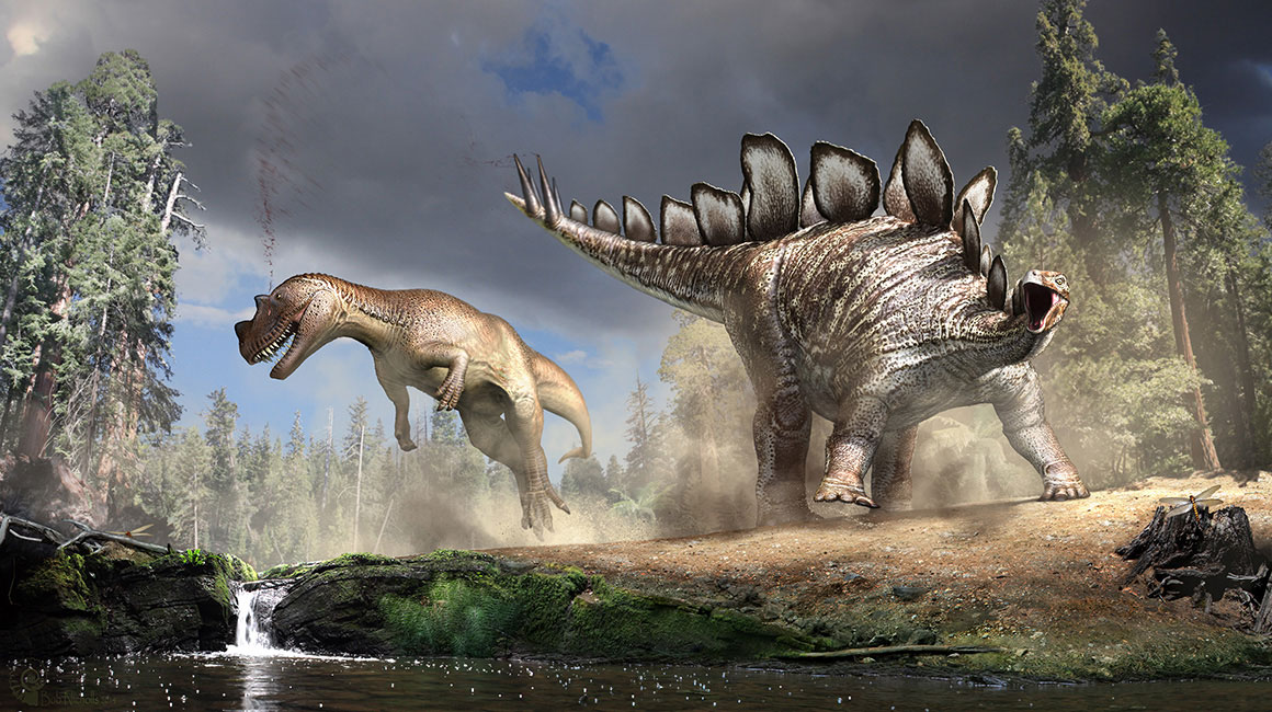 An illustration of a Stegosaurus swiping its spiked tail at a large carnivorous dinosaur in a forest clearing.
