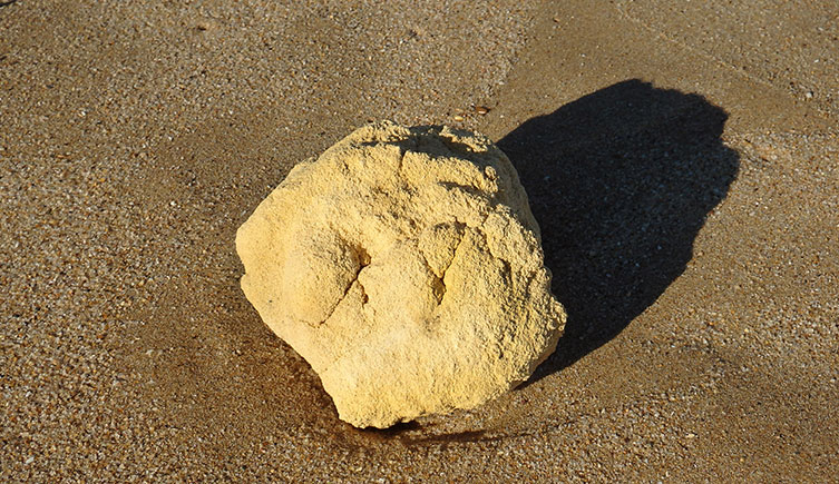 A lump of ambergris on a beach