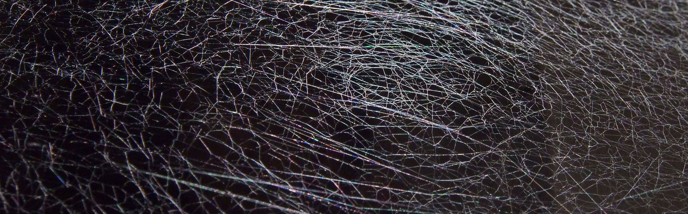Tangle web