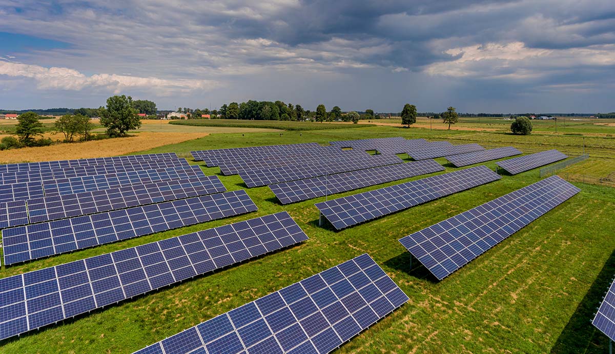 Rows of solar panels in a field beneath a blue sky.