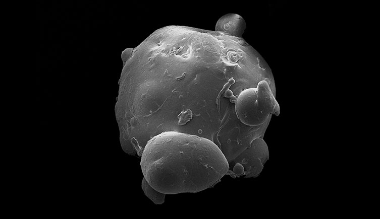 A highly magnified image of a microbead