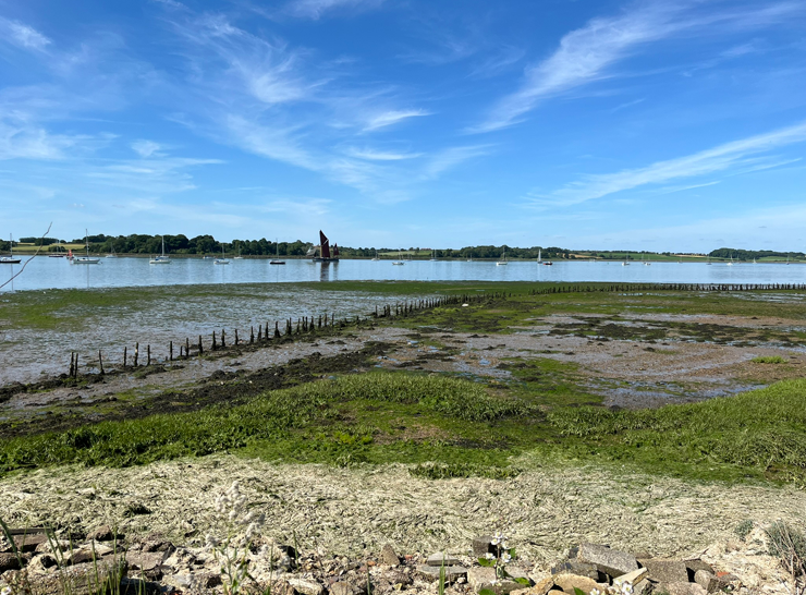 Saltmarsh at Suffolk Yacht Harbour, Levington