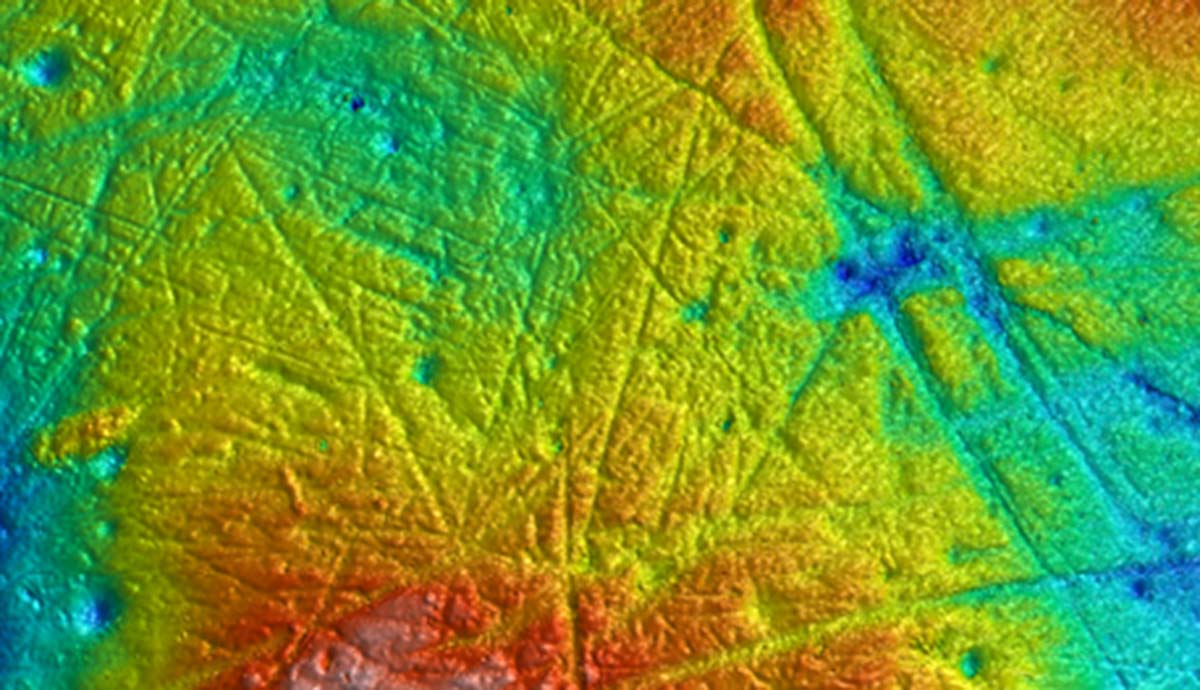 A scan showing the surface of a wolf tooth, with higher areas in redder colours and lower ones in bluer shades.