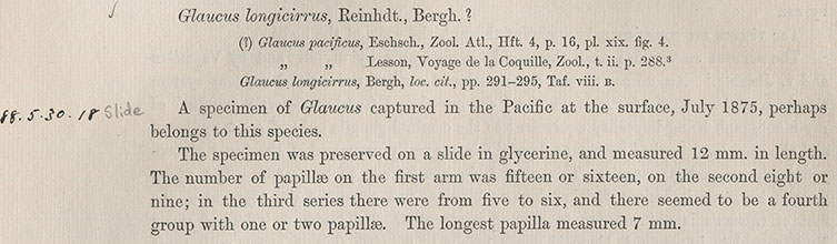 An image of a book's text that details collected nudibranchs
